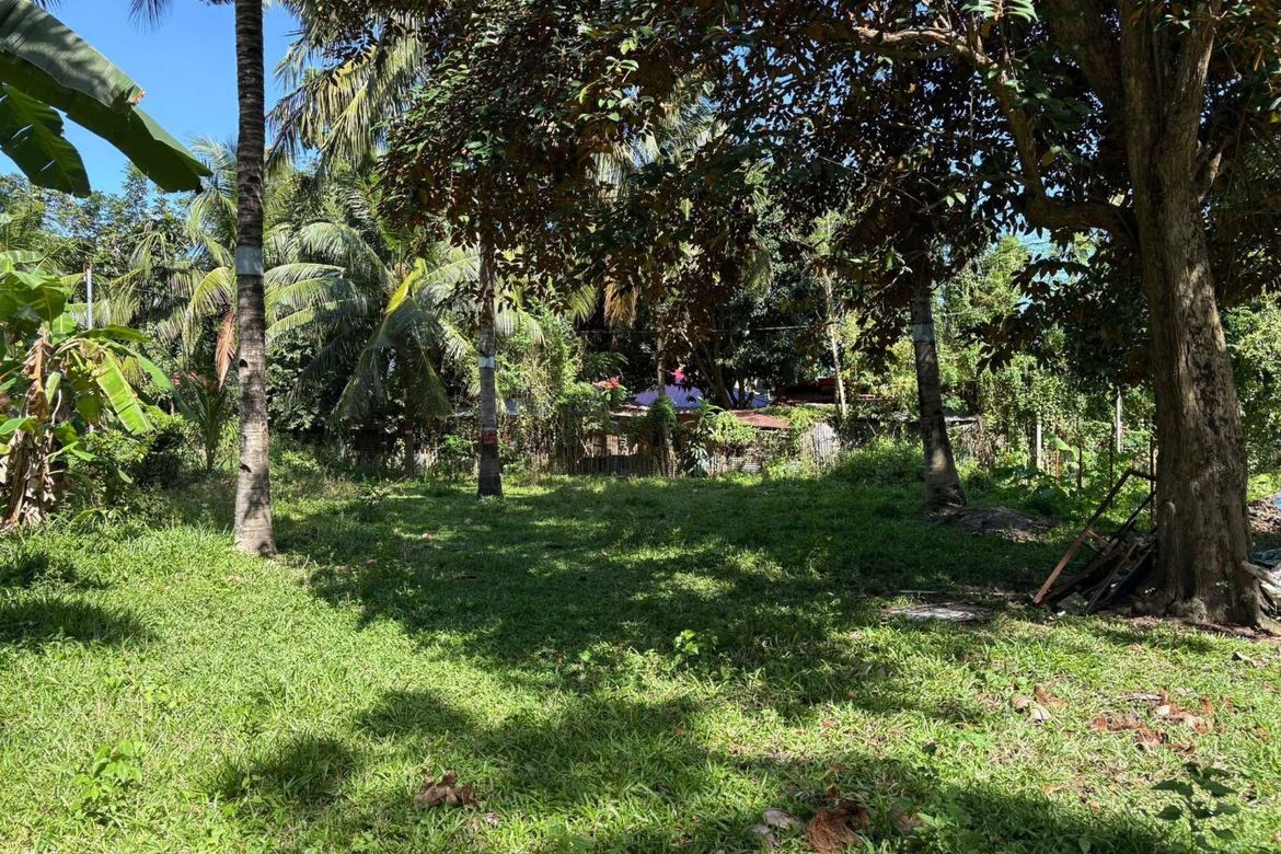 Land for Sale in Talay, Dumaguete, Negros Oriental – photo 8