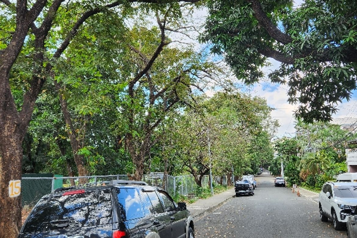 Land for Sale in Talayan, Quezon City, Metro Manila – photo 3