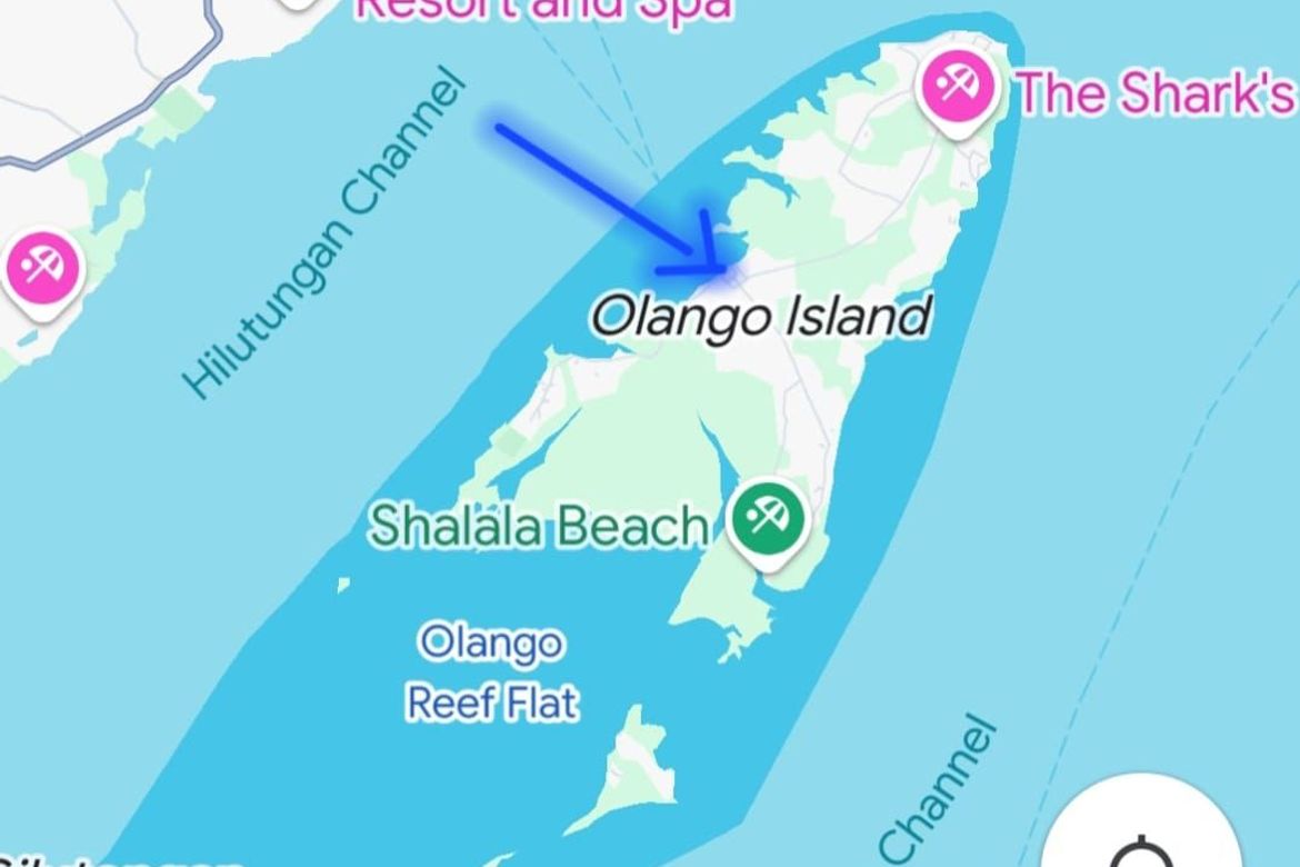 Land for Sale in Talima, Lapu-Lapu, Cebu – photo 2