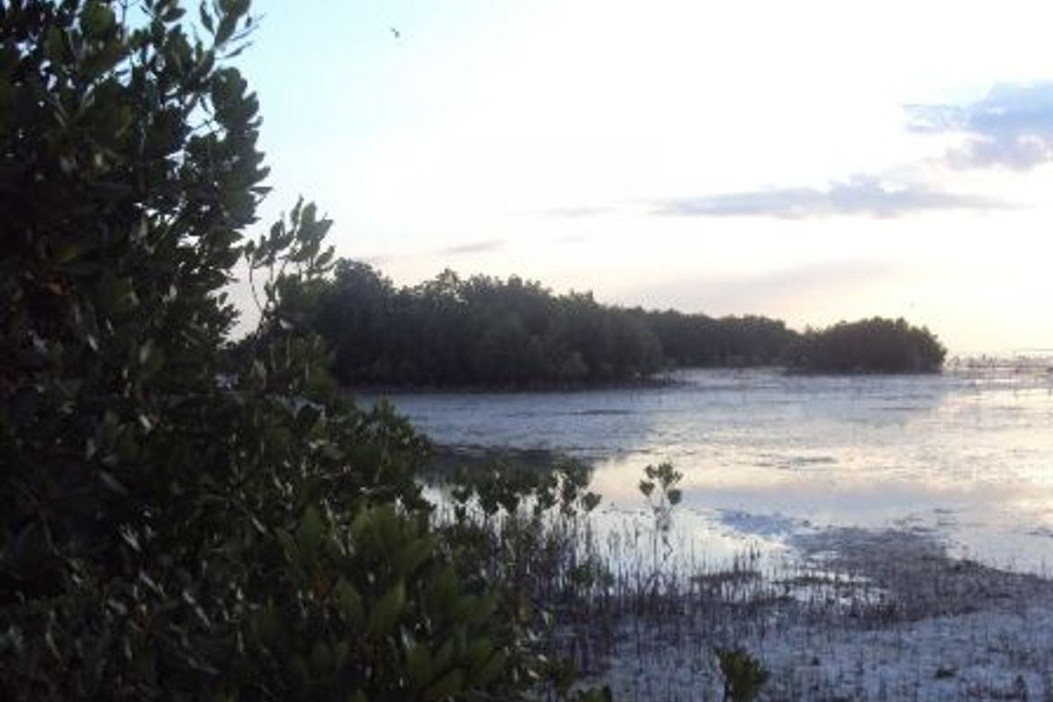 Land for Sale in Talima, Lapu-Lapu, Cebu – photo 5