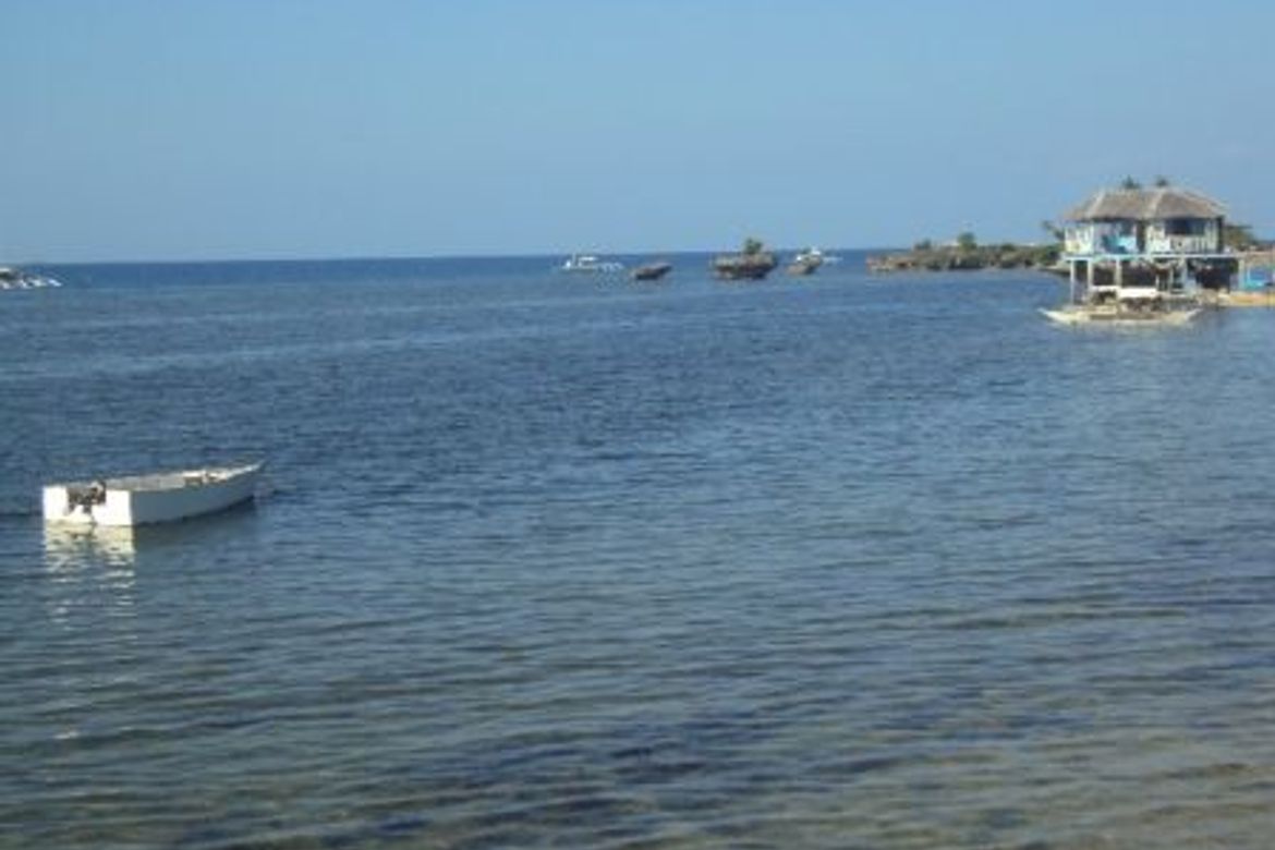 Land for Sale in Talima, Lapu-Lapu, Cebu – photo 6