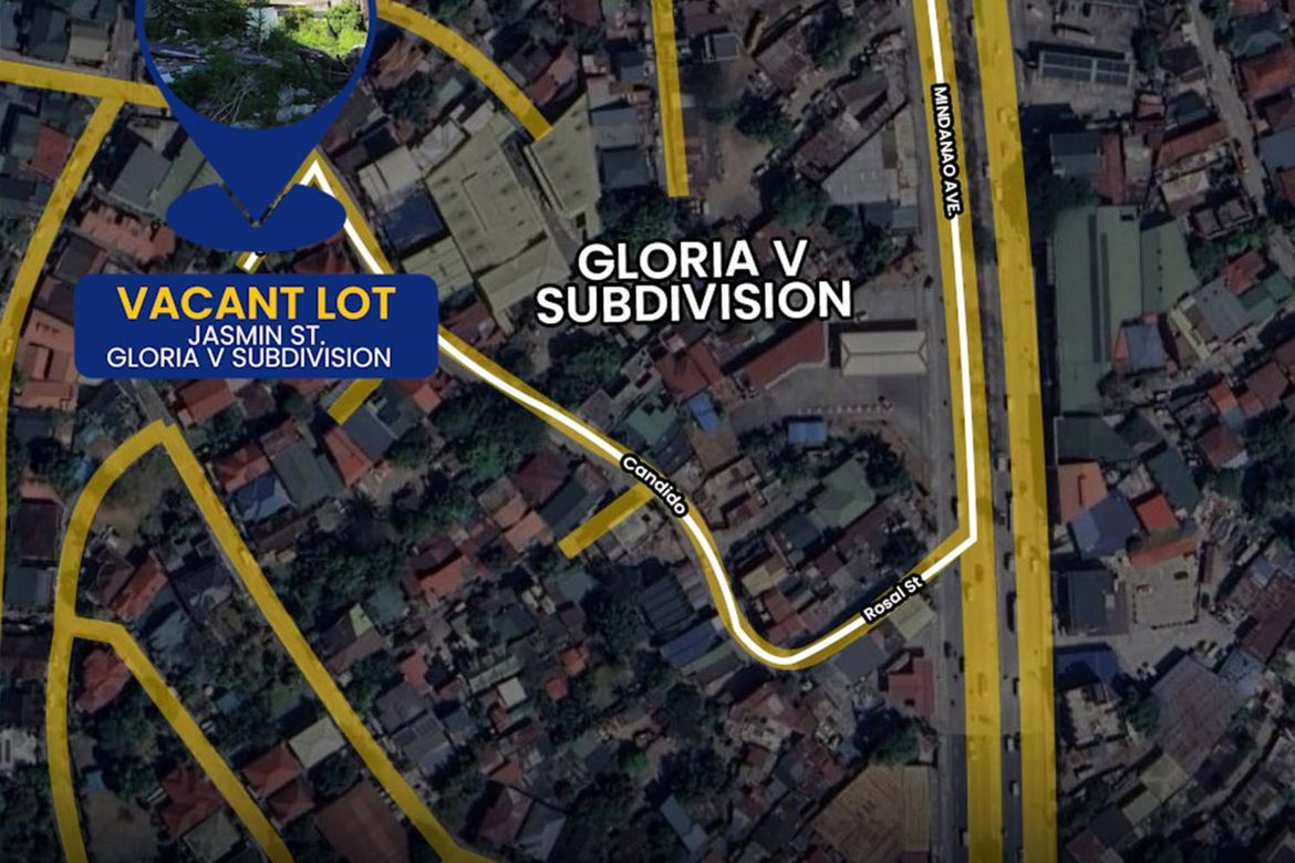 Land for Sale in Talipapa, Quezon City, Metro Manila – photo 4