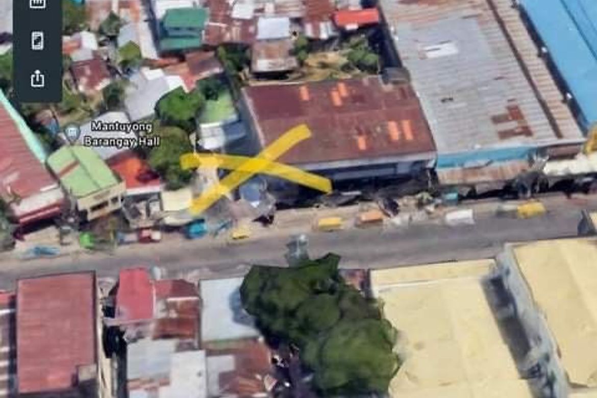 Land for Sale in Talisay, Cebu – photo 4