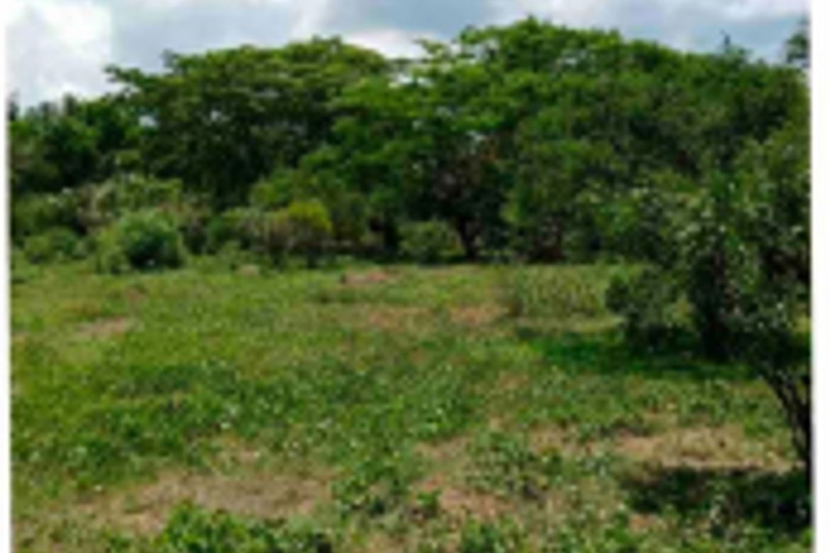 Land for Sale in Talisay, Lipa, Batangas – photo 5
