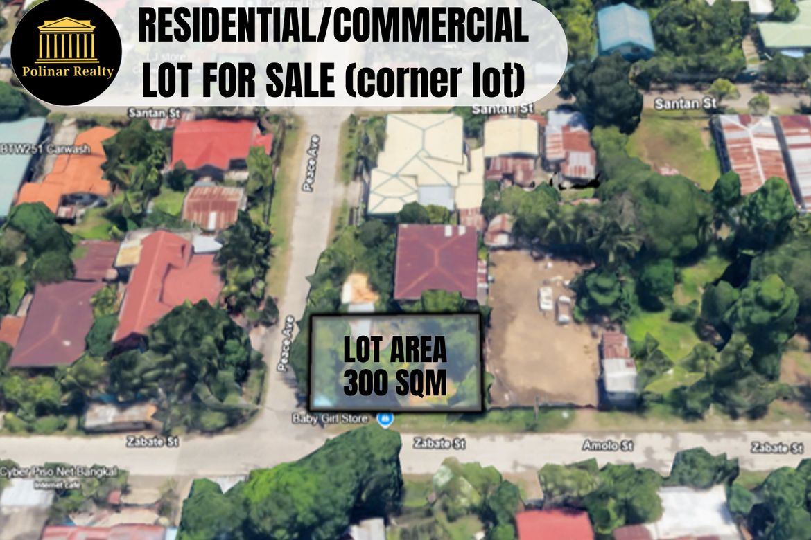 Land for Sale in Talomo, Davao City, Davao del Sur