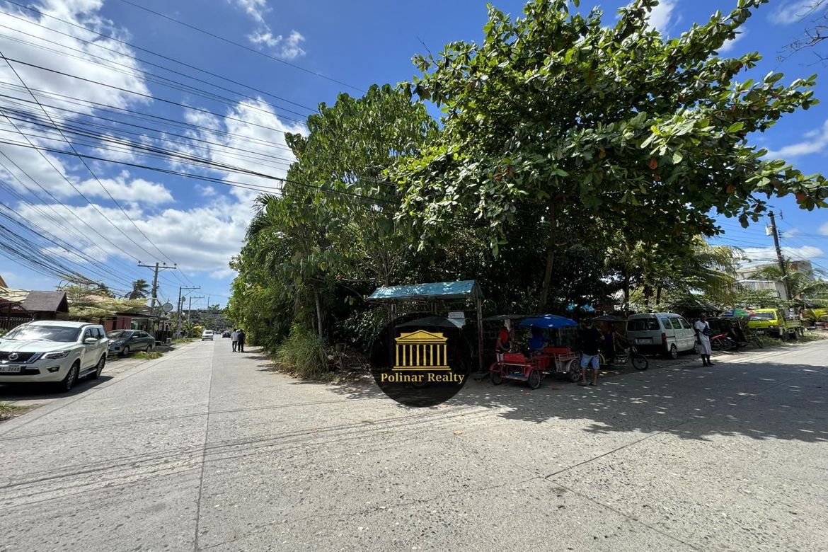 Land for Sale in Talomo, Davao City, Davao del Sur – photo 5
