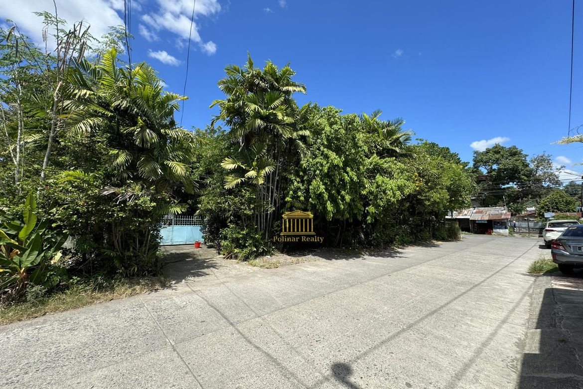 Land for Sale in Talomo, Davao City, Davao del Sur