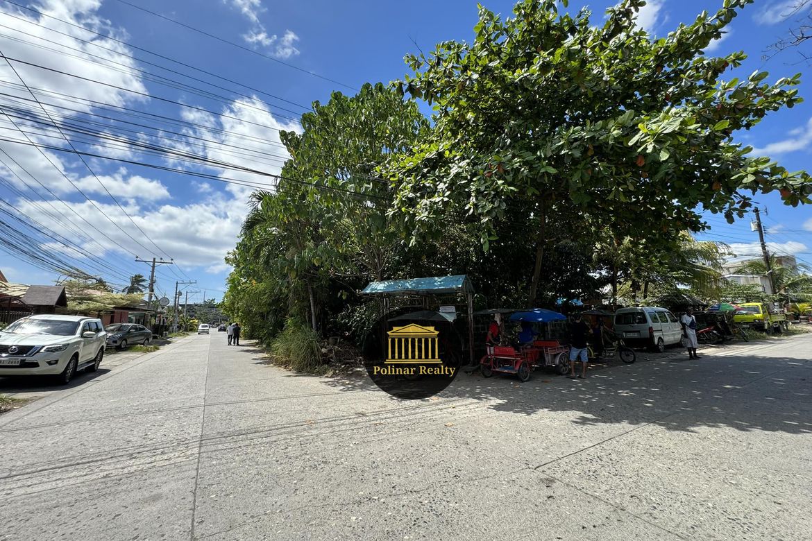 Land for Sale in Talomo, Davao City, Davao del Sur – photo 2