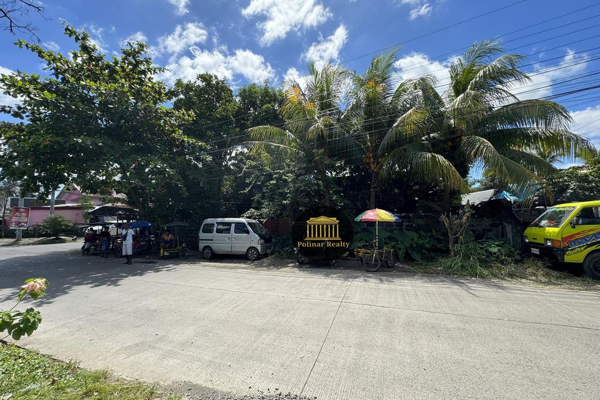 Land for Sale in Talomo, Davao City, Davao del Sur – photo 3