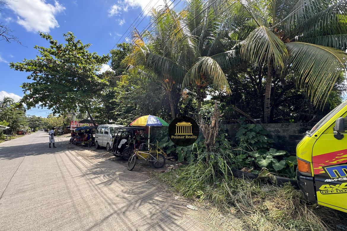 Land for Sale in Talomo, Davao City, Davao del Sur – photo 4