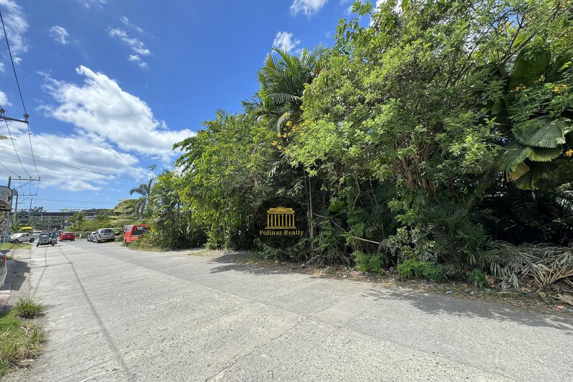 Land for Sale in Talomo, Davao City, Davao del Sur – photo 5