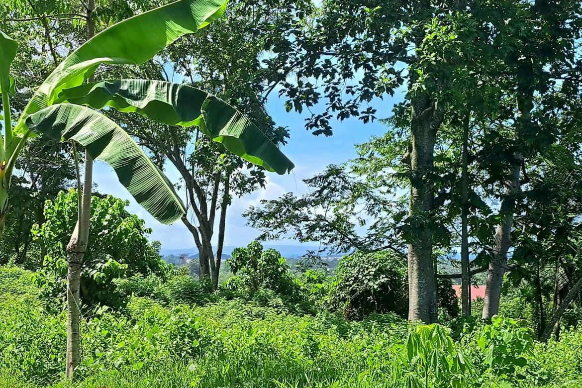 Land for Sale in Talomo, Davao City, Davao del Sur