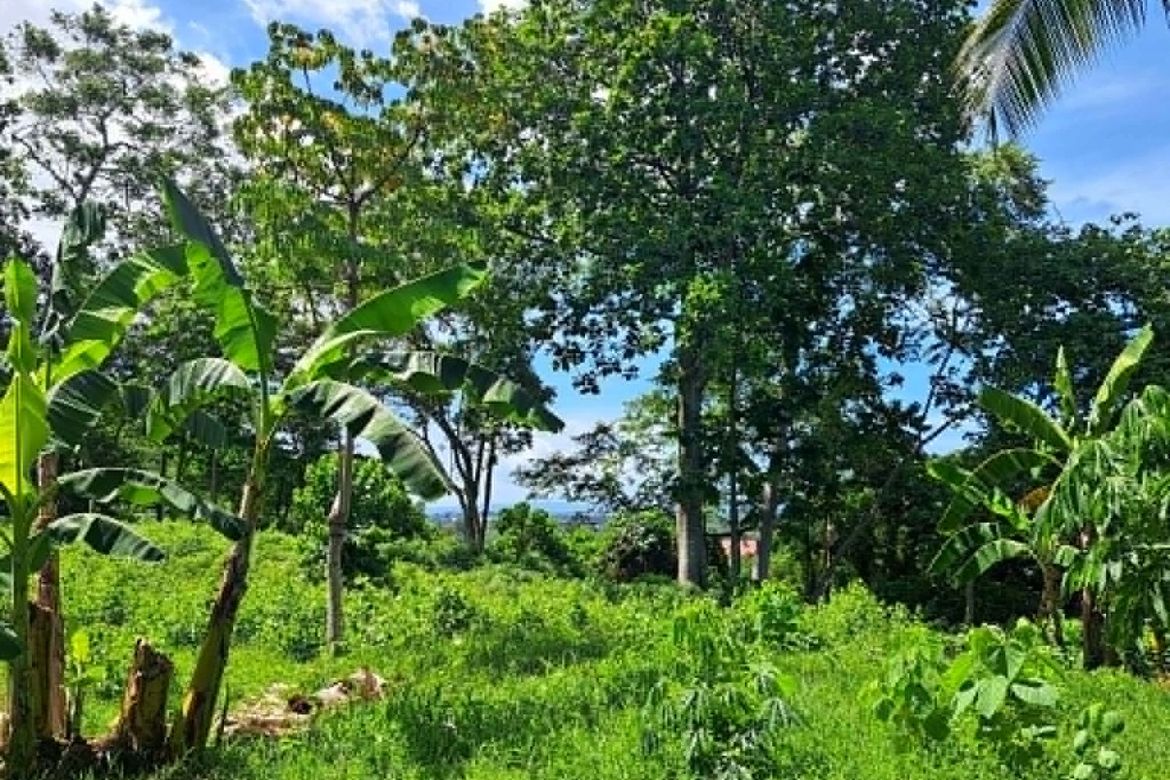 Land for Sale in Talomo, Davao City, Davao del Sur – photo 2