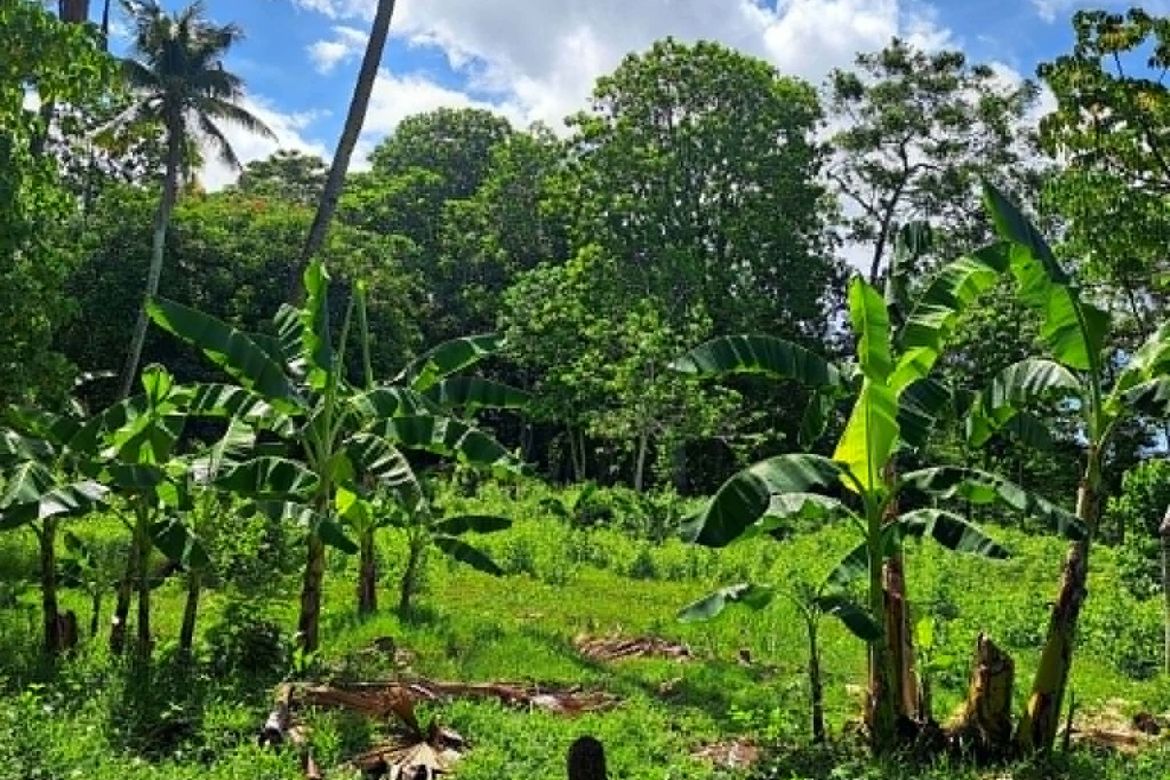 Land for Sale in Talomo, Davao City, Davao del Sur – photo 3