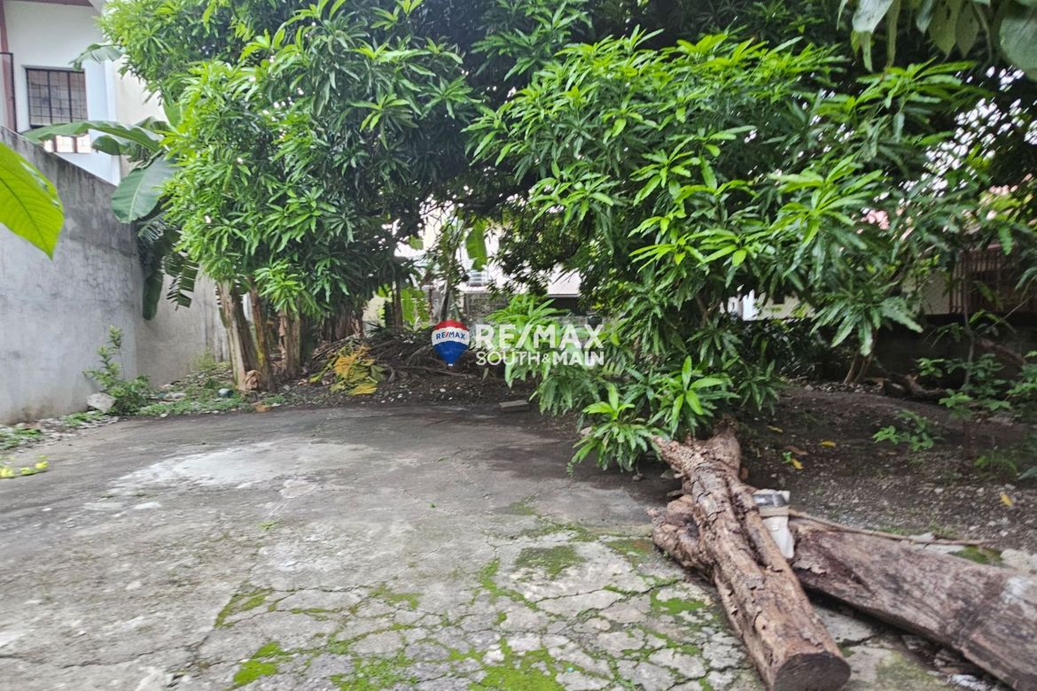 Land for Sale in Talon Dos, Las Piñas, Metro Manila – photo 4