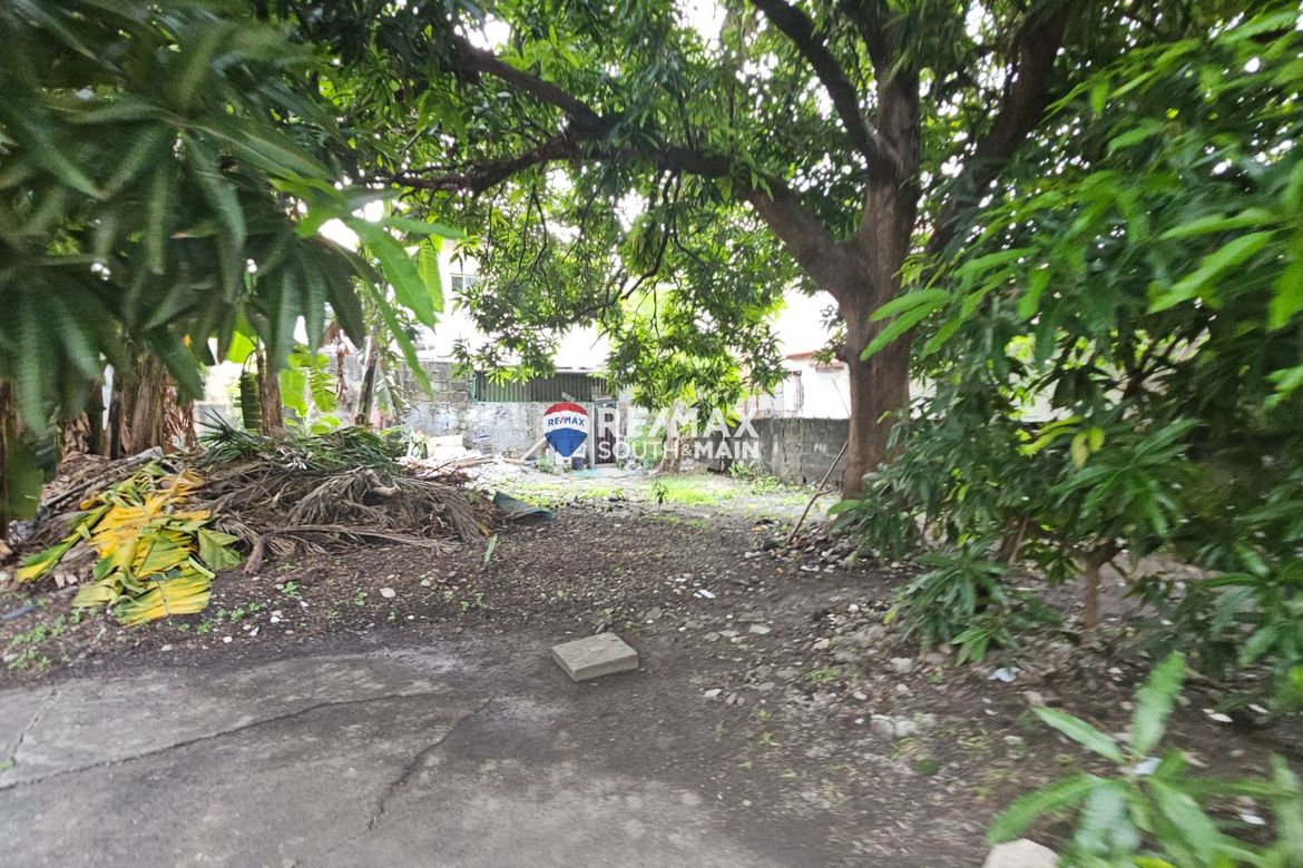 Land for Sale in Talon Dos, Las Piñas, Metro Manila – photo 5
