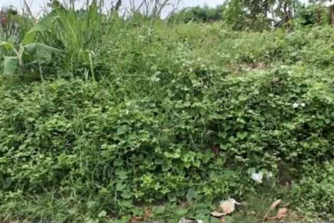 Land for Sale in Talon Dos, Las Piñas, Metro Manila