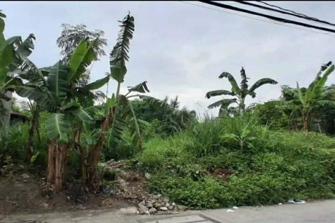 Land for Sale in Talon Dos, Las Piñas, Metro Manila – photo 2