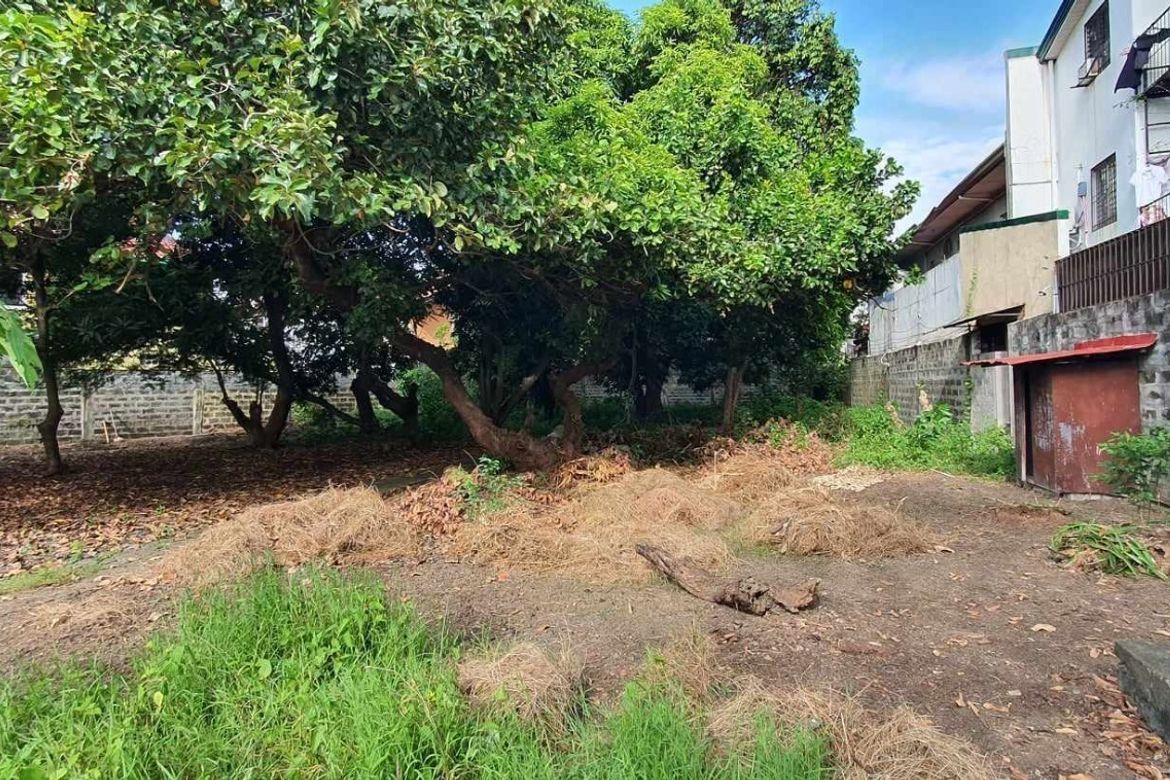 Land for Sale in Talon Dos, Las Piñas, Metro Manila – photo 5