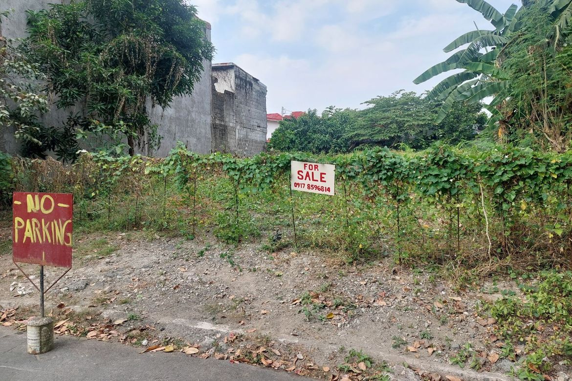 Land for Sale in Talon Kuatro, Las Piñas, Metro Manila