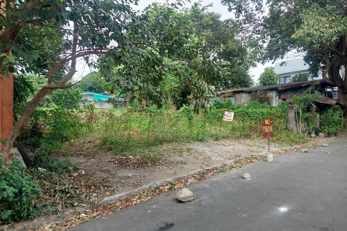 Land for Sale in Talon Kuatro, Las Piñas, Metro Manila – photo 2