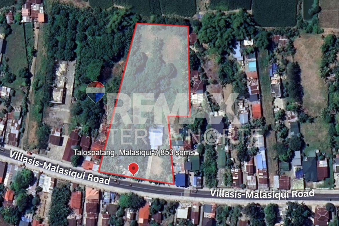 Land for Sale in Talospatang, Malasiqui, Pangasinan