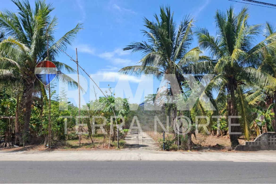 Land for Sale in Talospatang, Malasiqui, Pangasinan – photo 2