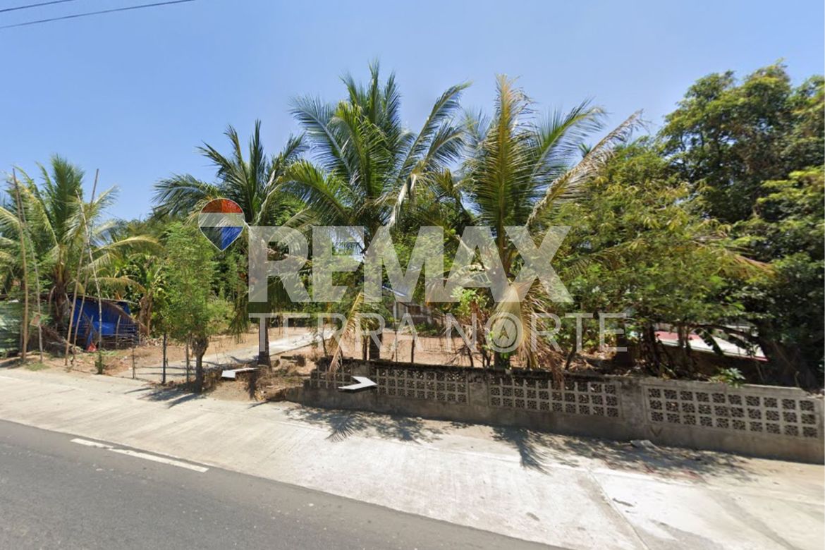 Land for Sale in Talospatang, Malasiqui, Pangasinan – photo 5