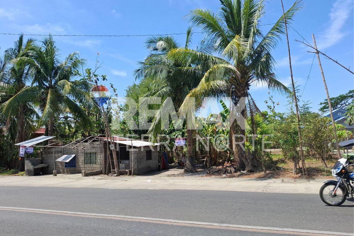Land for Sale in Talospatang, Malasiqui, Pangasinan – photo 6