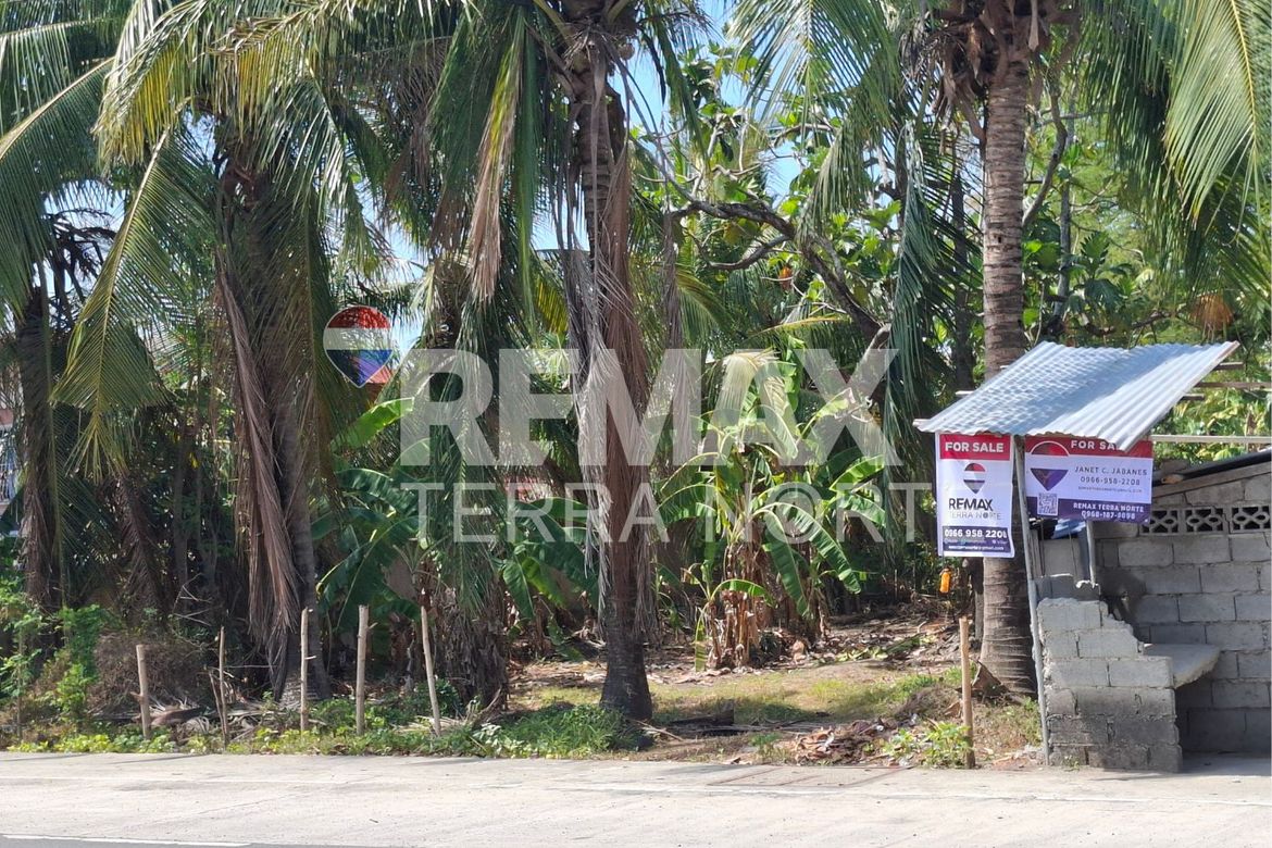 Land for Sale in Talospatang, Malasiqui, Pangasinan – photo 8