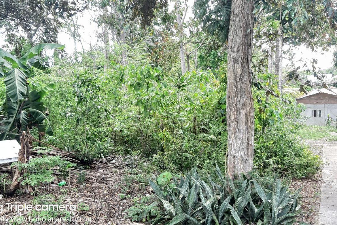 Land for Sale in Taloto, Tagbilaran, Bohol – photo 3