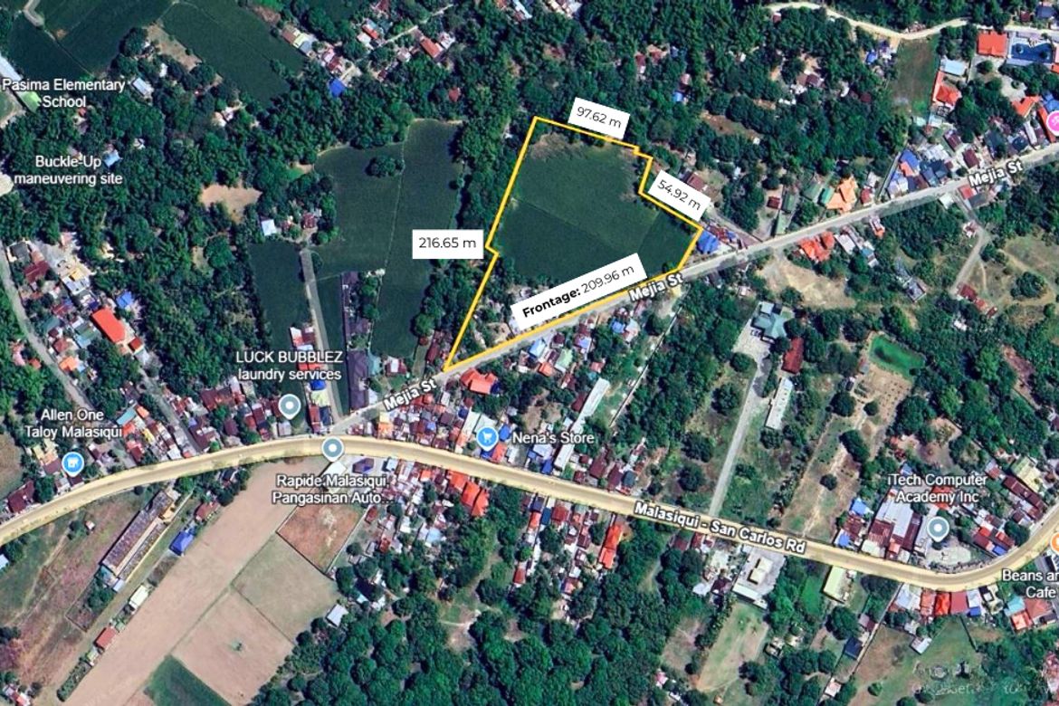 Land for Sale in Taloy, Malasiqui, Pangasinan – photo 3