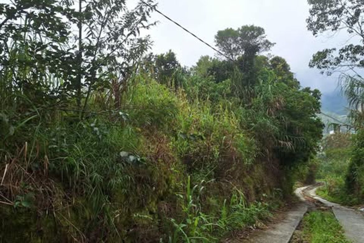 Land for Sale in Taloy Norte, Tuba, Benguet – photo 3