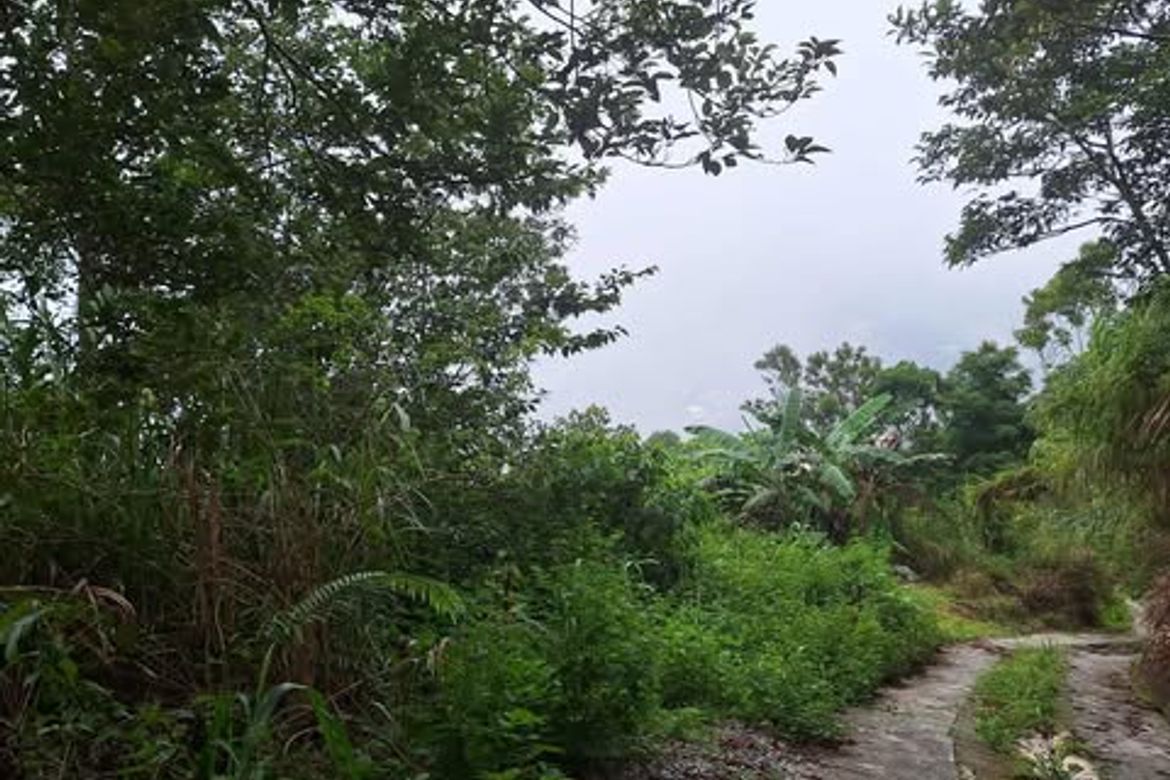 Land for Sale in Taloy Norte, Tuba, Benguet – photo 6