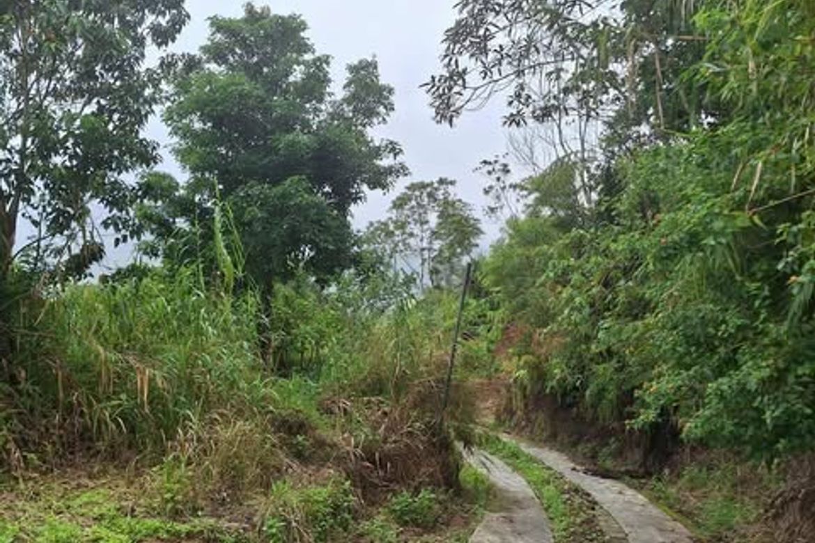 Land for Sale in Taloy Norte, Tuba, Benguet – photo 7