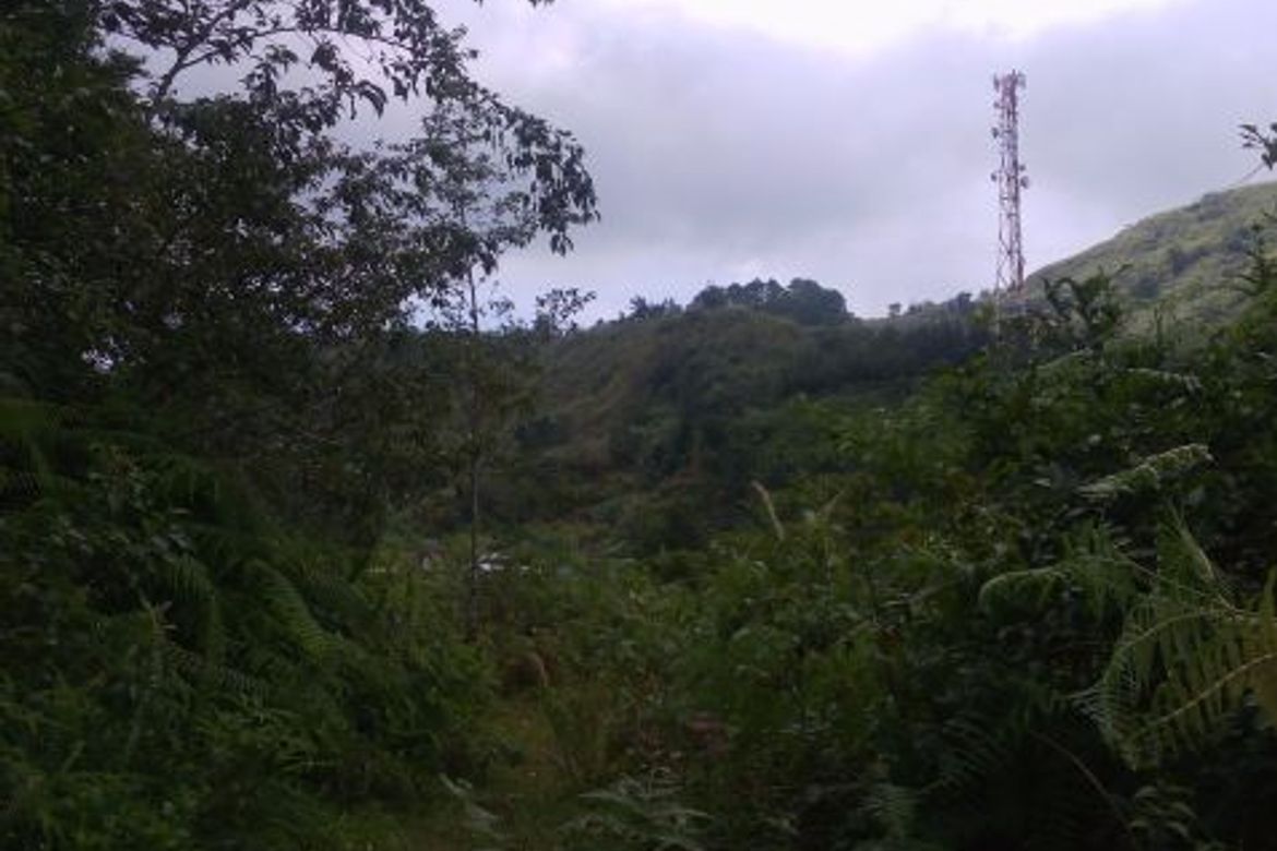 Land for Sale in Taloy Sur, Tuba, Benguet – photo 5