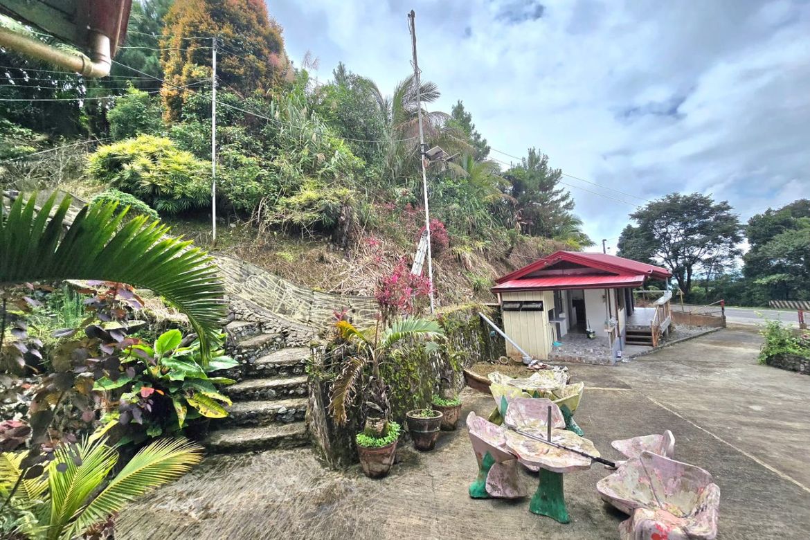 Land for Sale in Taloy Sur, Tuba, Benguet – photo 5