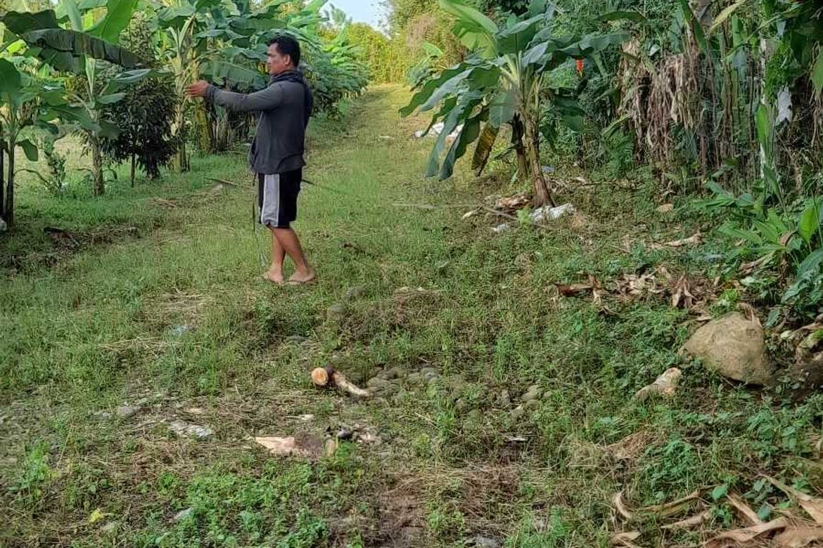 Land for Sale in Tamayong, Davao City, Davao del Sur – photo 6