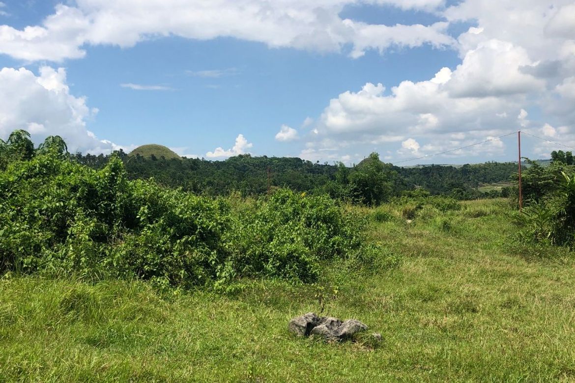 Land for Sale in Tambo-An, Carmen, Bohol – photo 3
