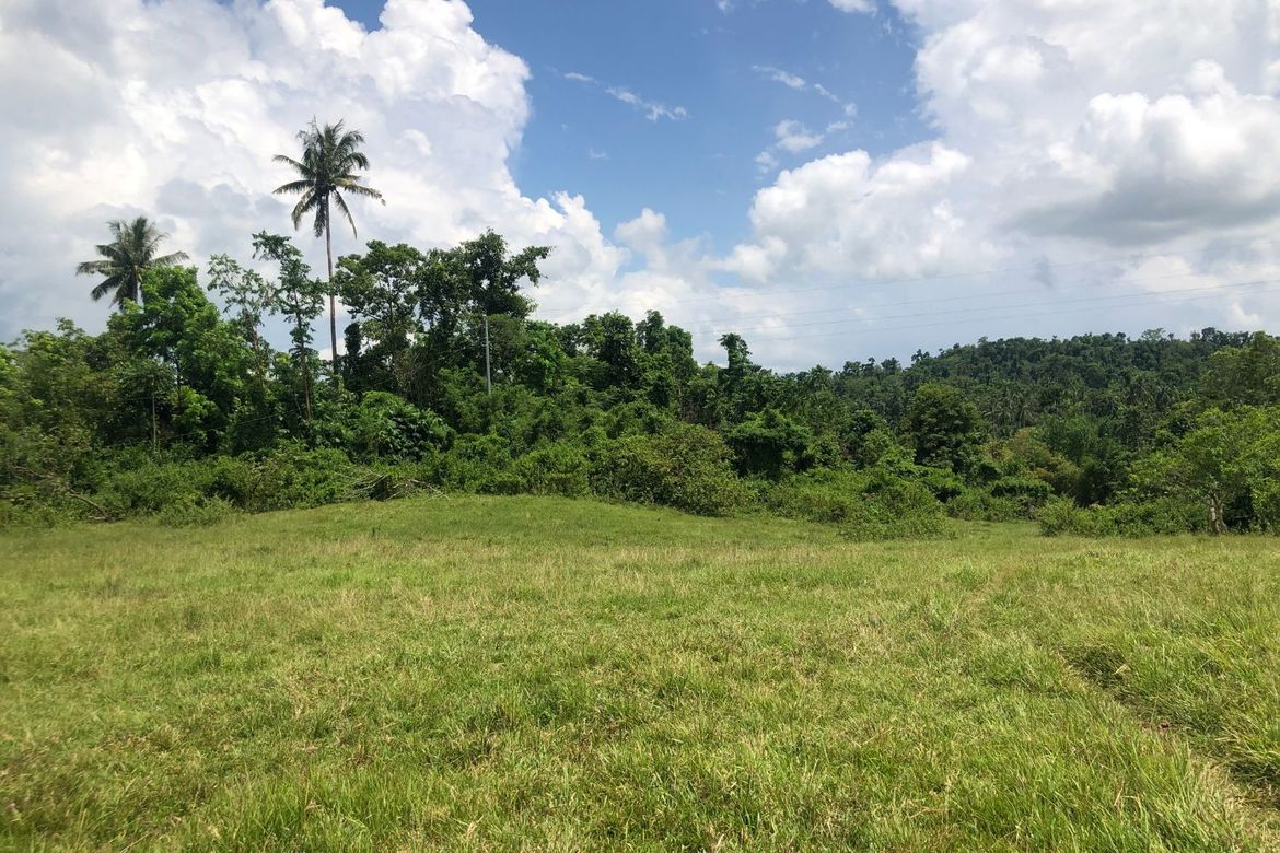 Land for Sale in Tambo-An, Carmen, Bohol – photo 5