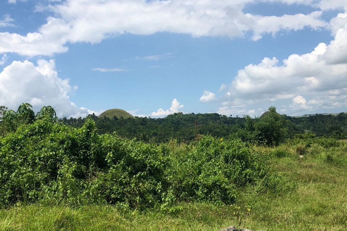 Land for Sale in Tambo-An, Carmen, Bohol – photo 6