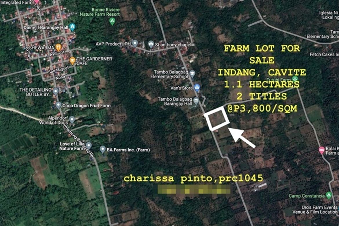 Land for Sale in Tambo Balagbag, Indang, Cavite – photo 3