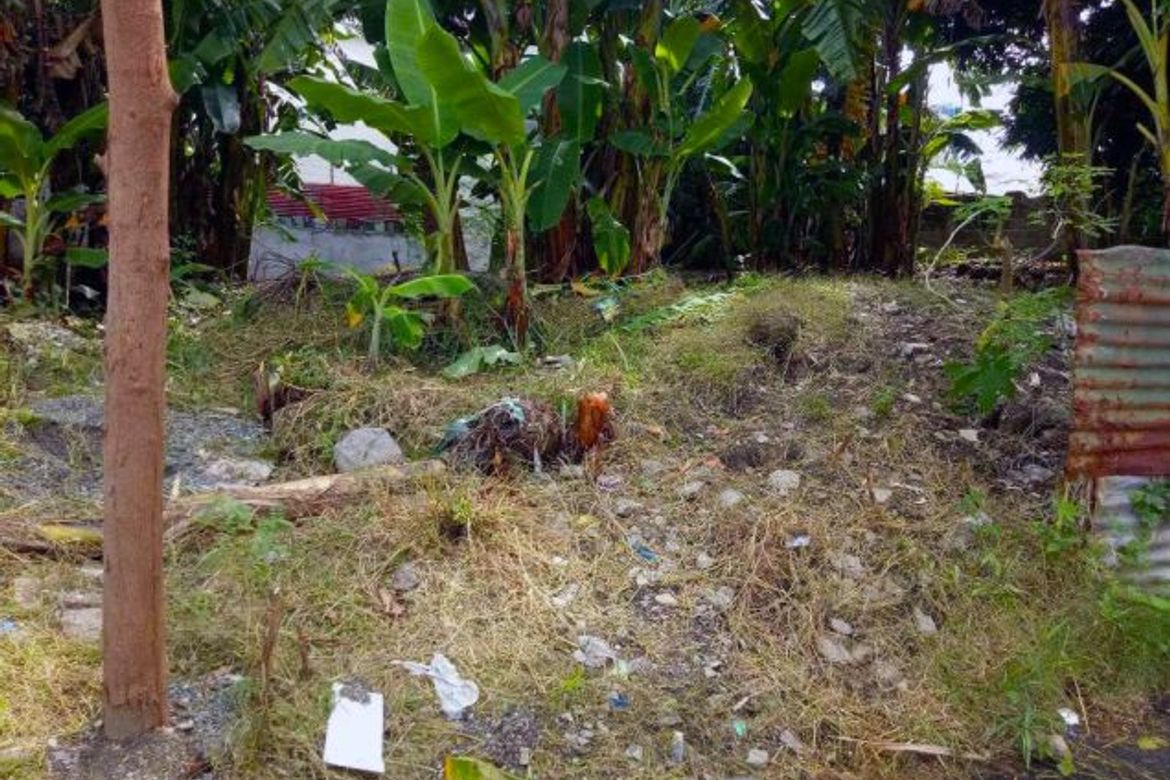 Land for Sale in Tambo, Parañaque, Metro Manila – photo 6
