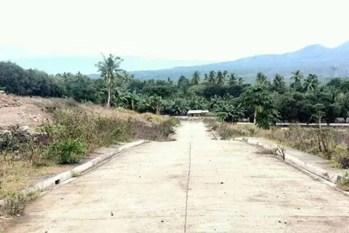 Land for Sale in Tambo, Samal, Davao del Norte – photo 2