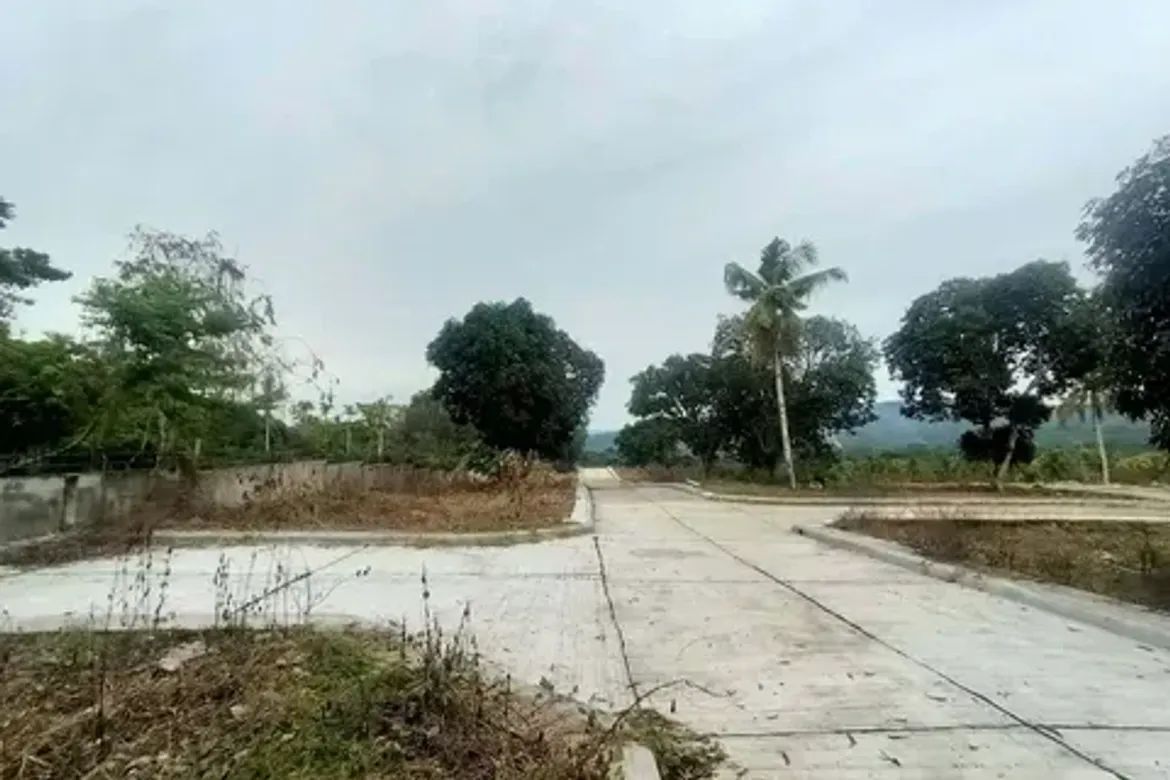 Land for Sale in Tambo, Samal, Davao del Norte – photo 3
