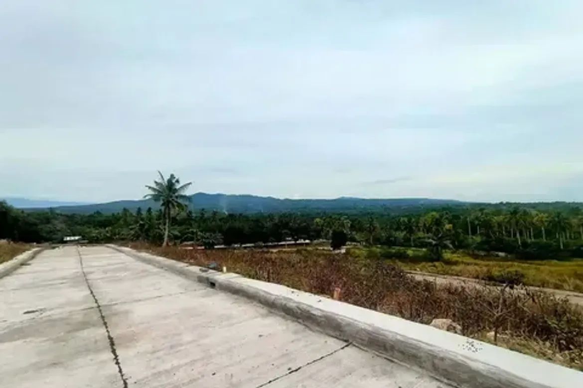 Land for Sale in Tambo, Samal, Davao del Norte – photo 4