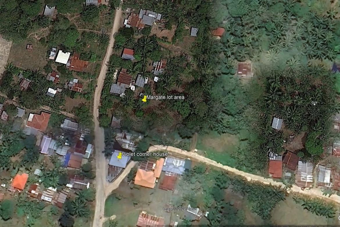 Land for Sale in Tambo, Samal, Davao del Norte – photo 2