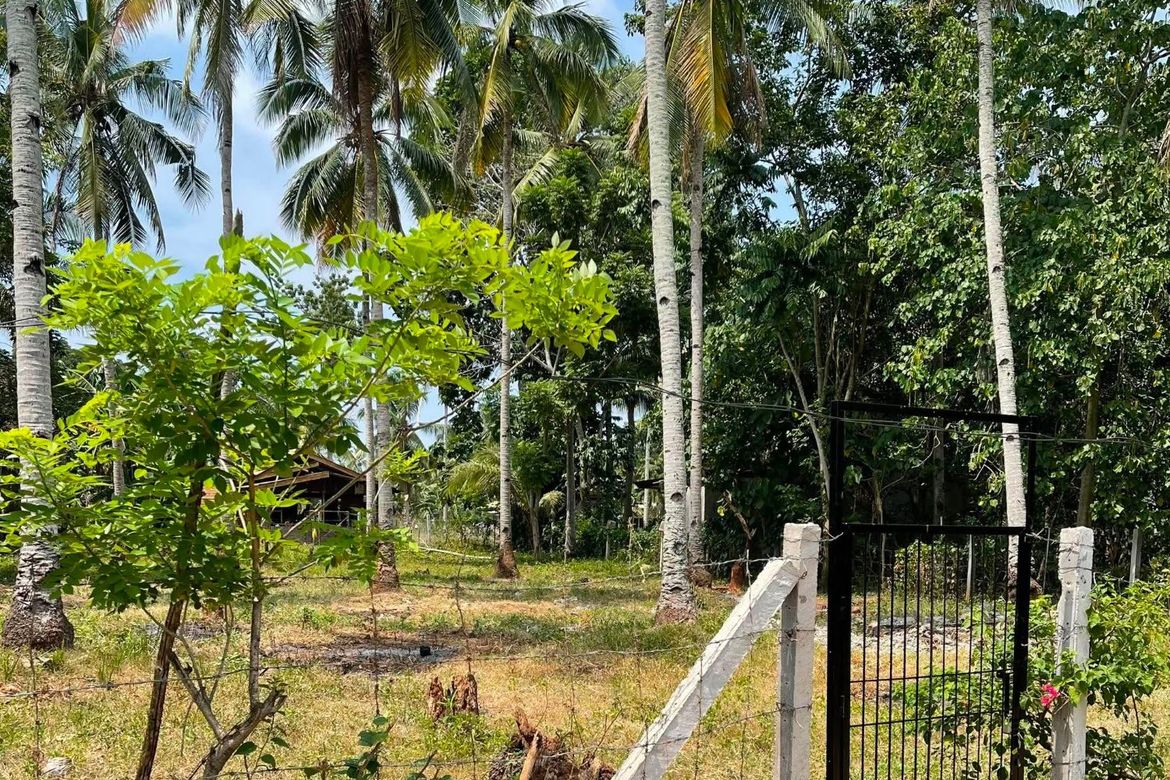 Land for Sale in Tambo, Samal, Davao del Norte – photo 4