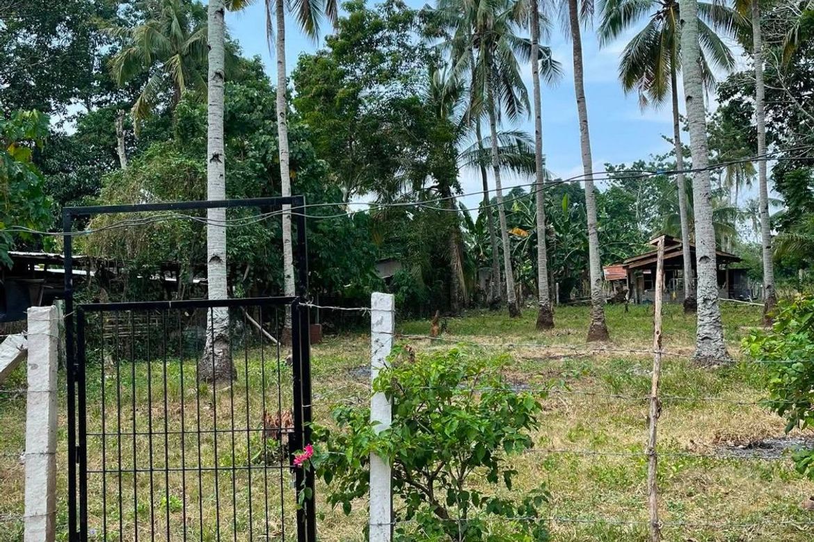 Land for Sale in Tambo, Samal, Davao del Norte – photo 7