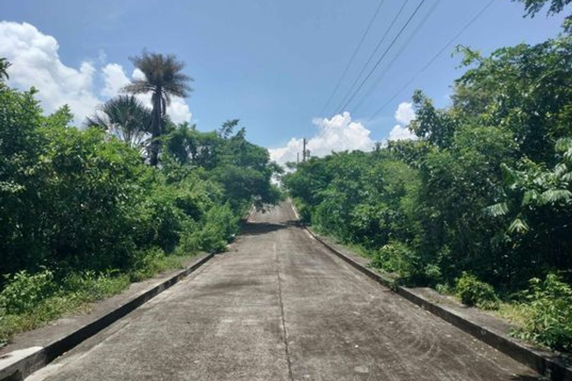 Land for Sale in Tamiao, Compostela, Cebu – photo 3